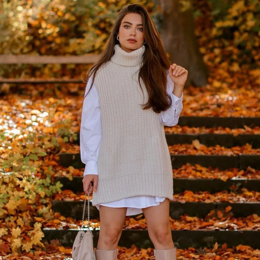 Casual Pile Collar High-collared Sweaters Mini Dresses Black