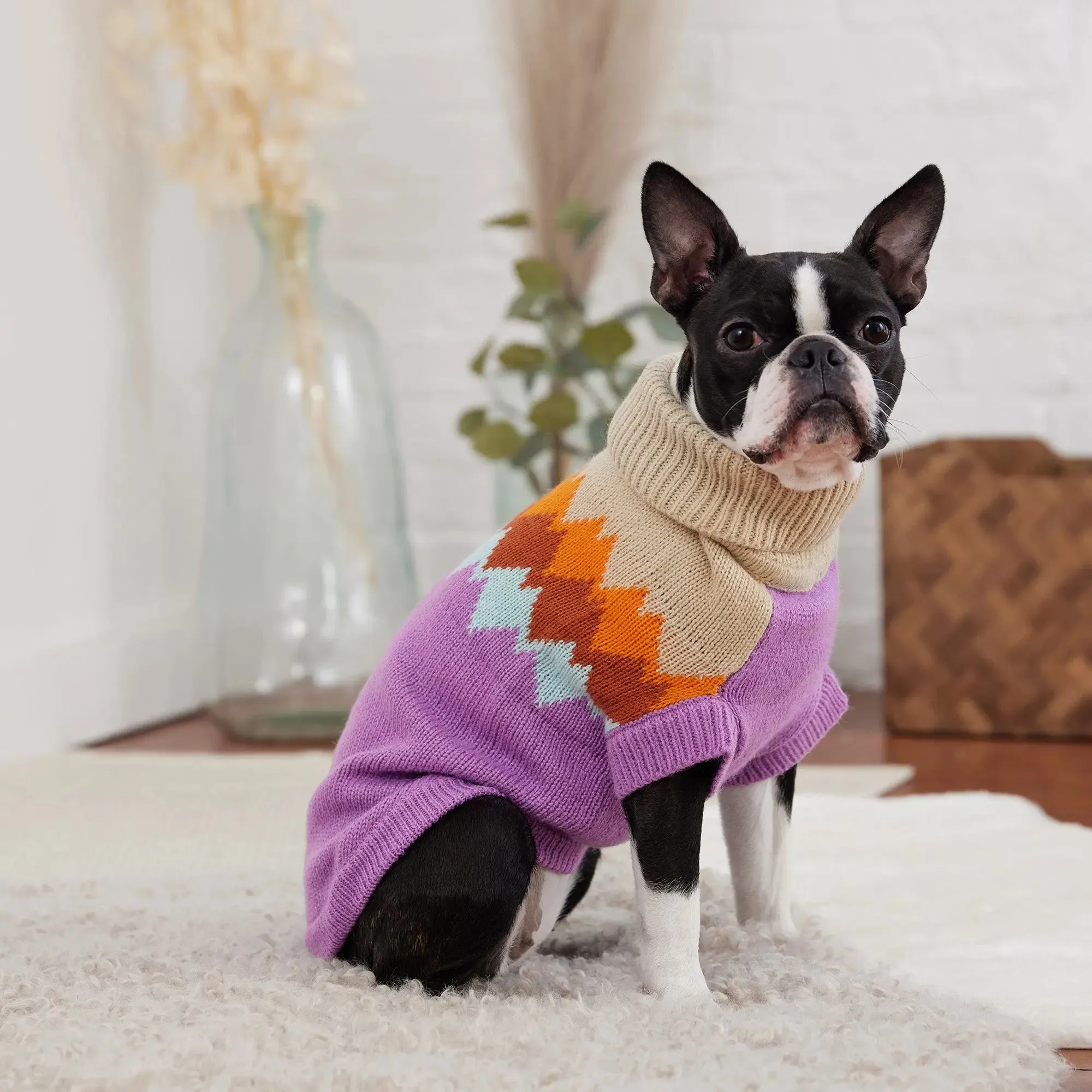 Fireside Dog Sweater | Purple
