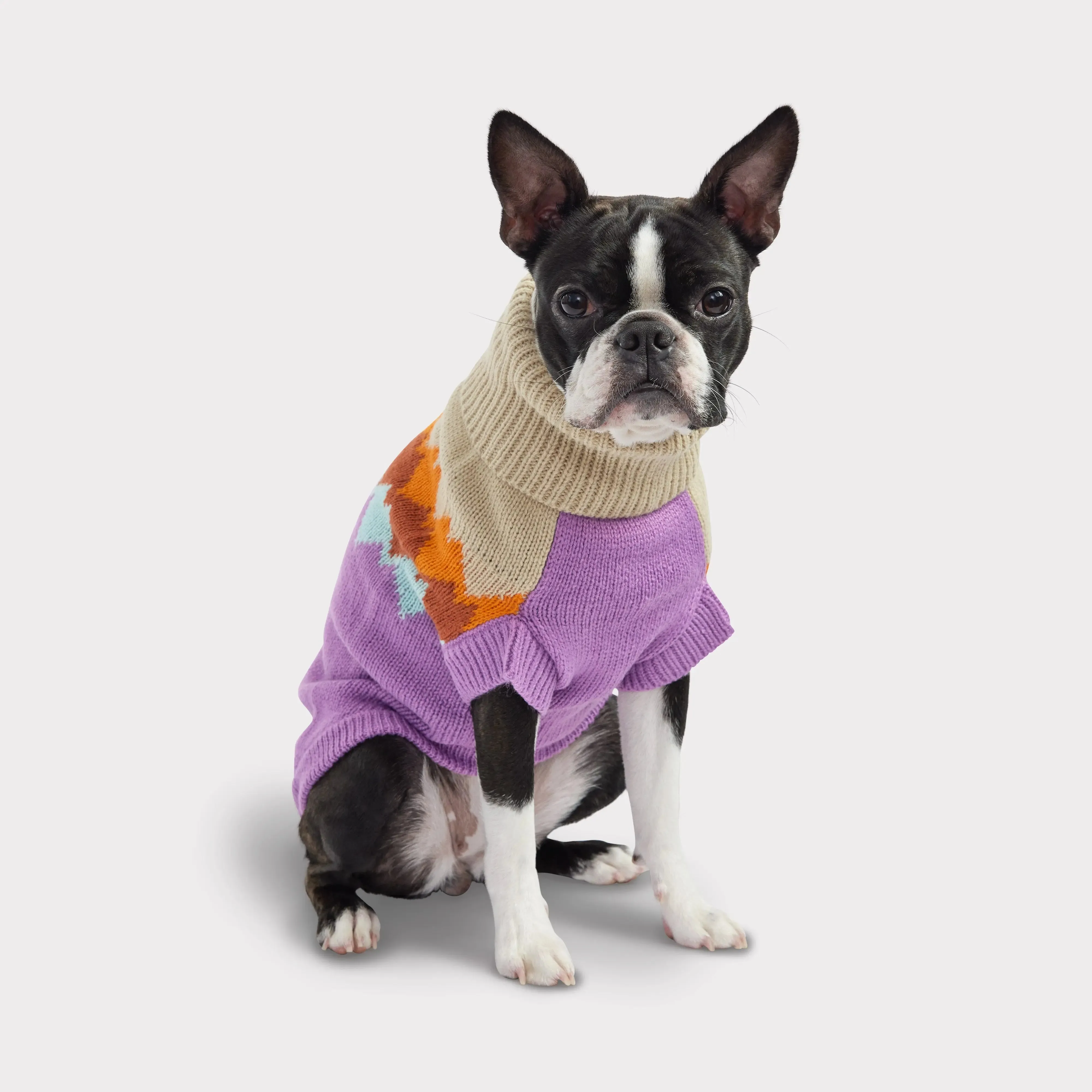 Fireside Dog Sweater | Purple