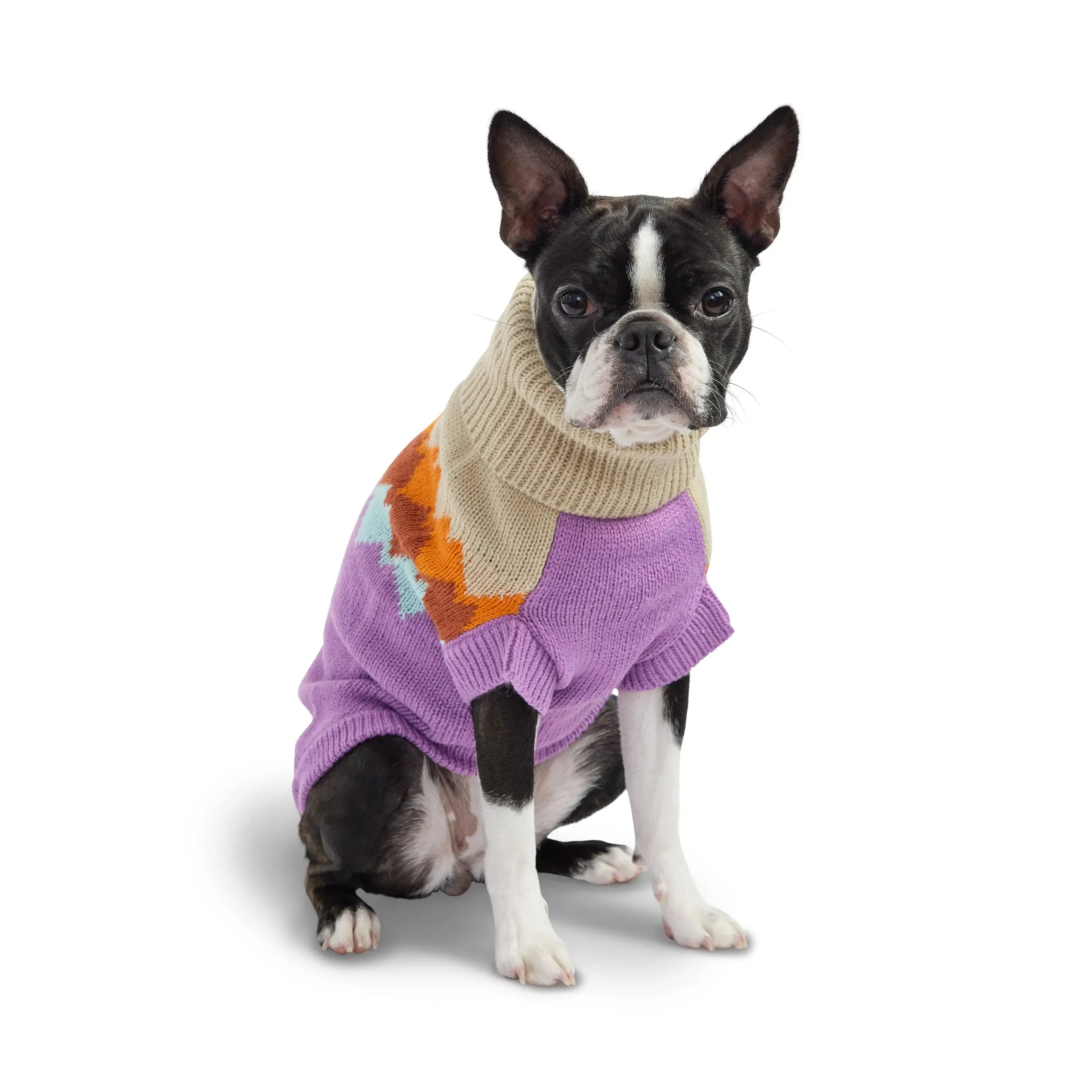 Fireside Dog Sweater | Purple