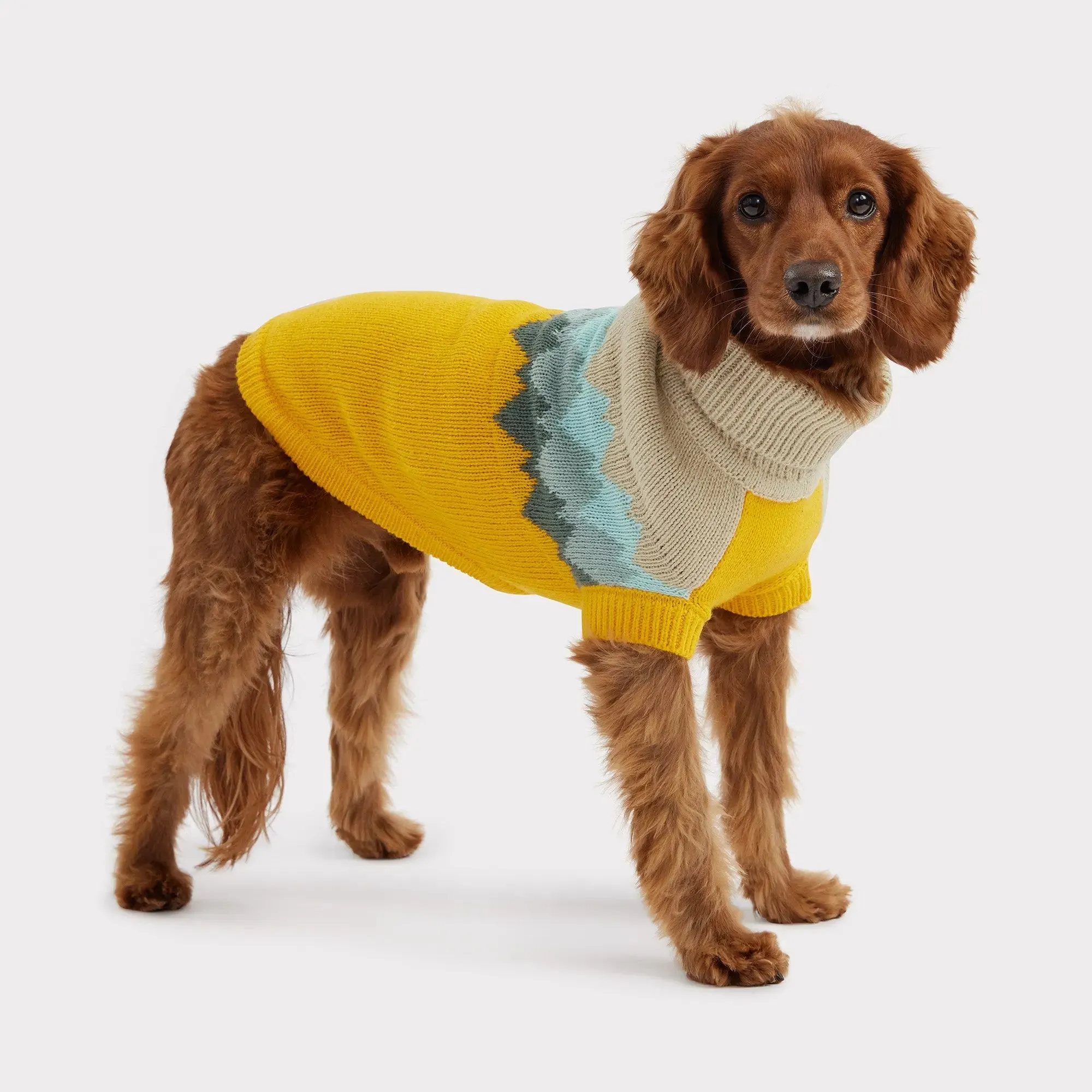 Fireside Dog Sweater | Yellow