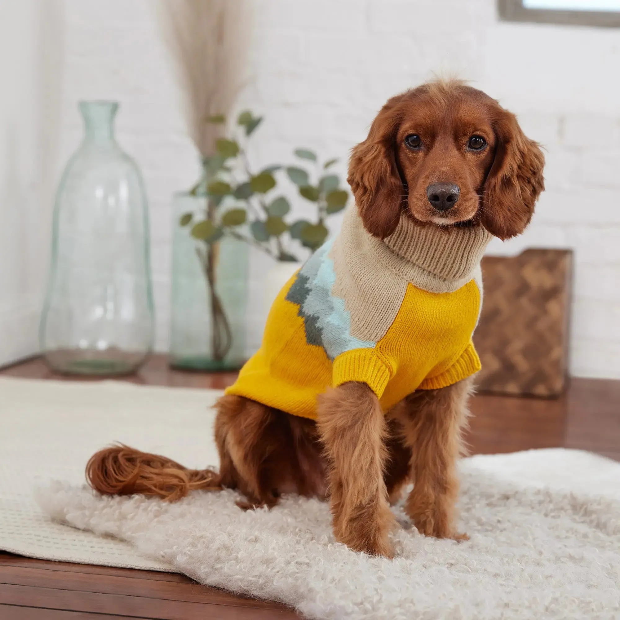 Fireside Dog Sweater | Yellow