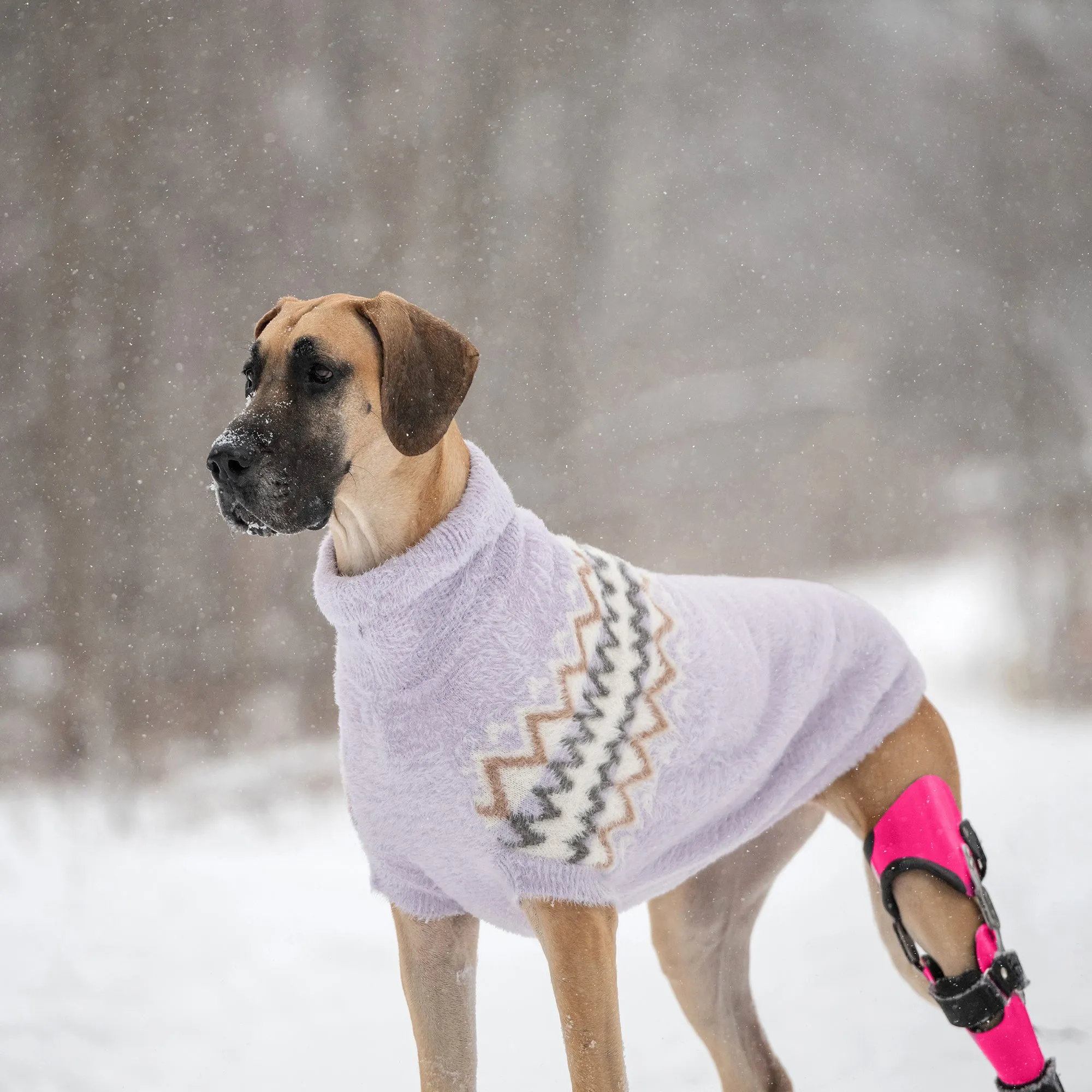 Fuzzy Dog Sweater | Lavender