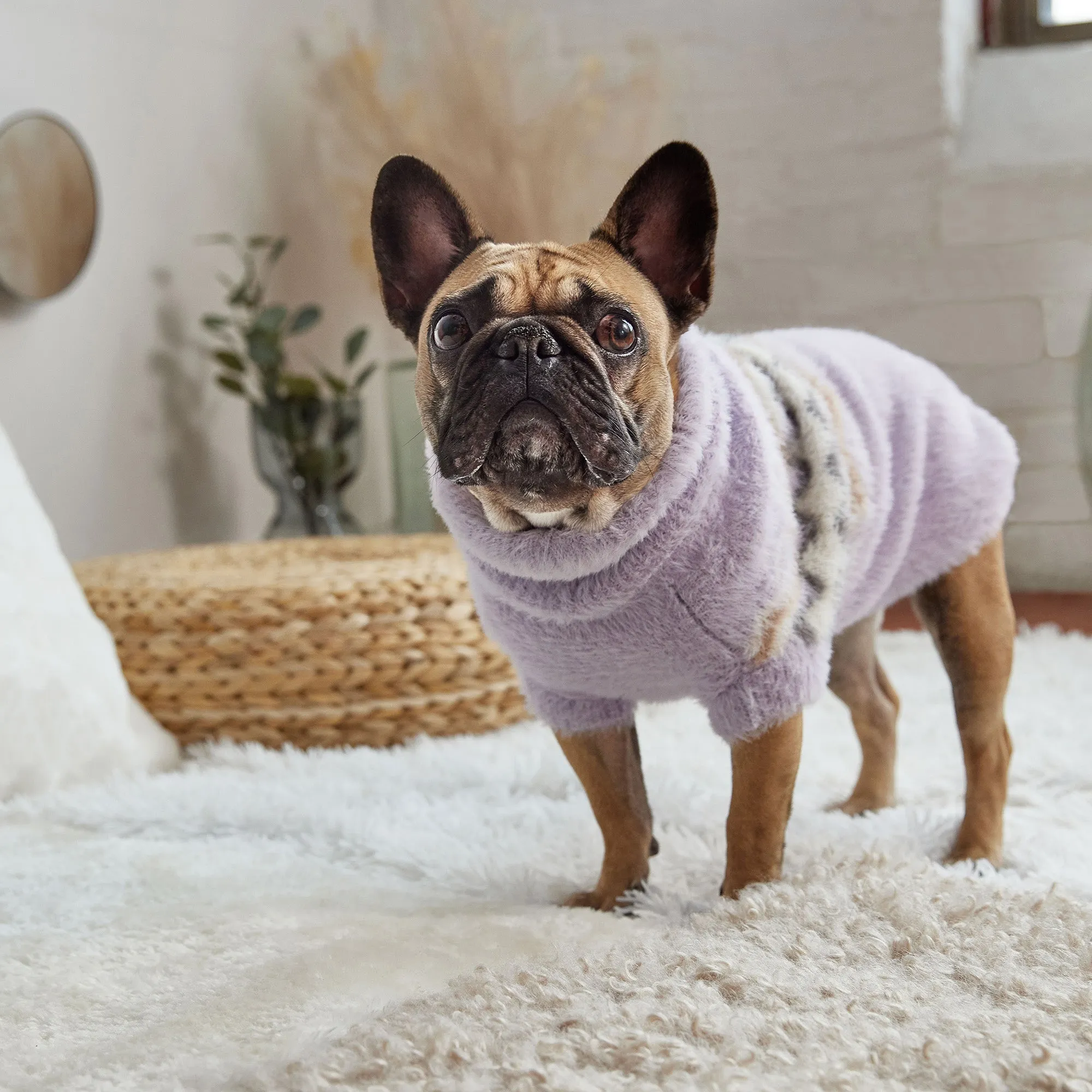 Fuzzy Dog Sweater | Lavender
