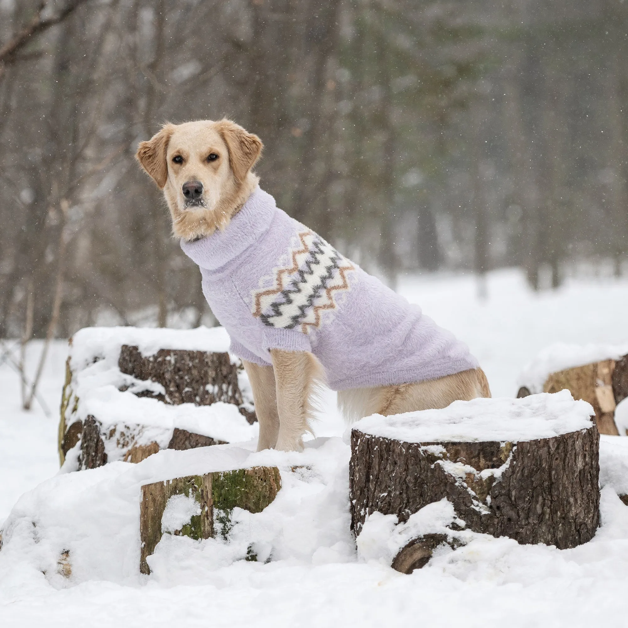 Fuzzy Dog Sweater | Lavender