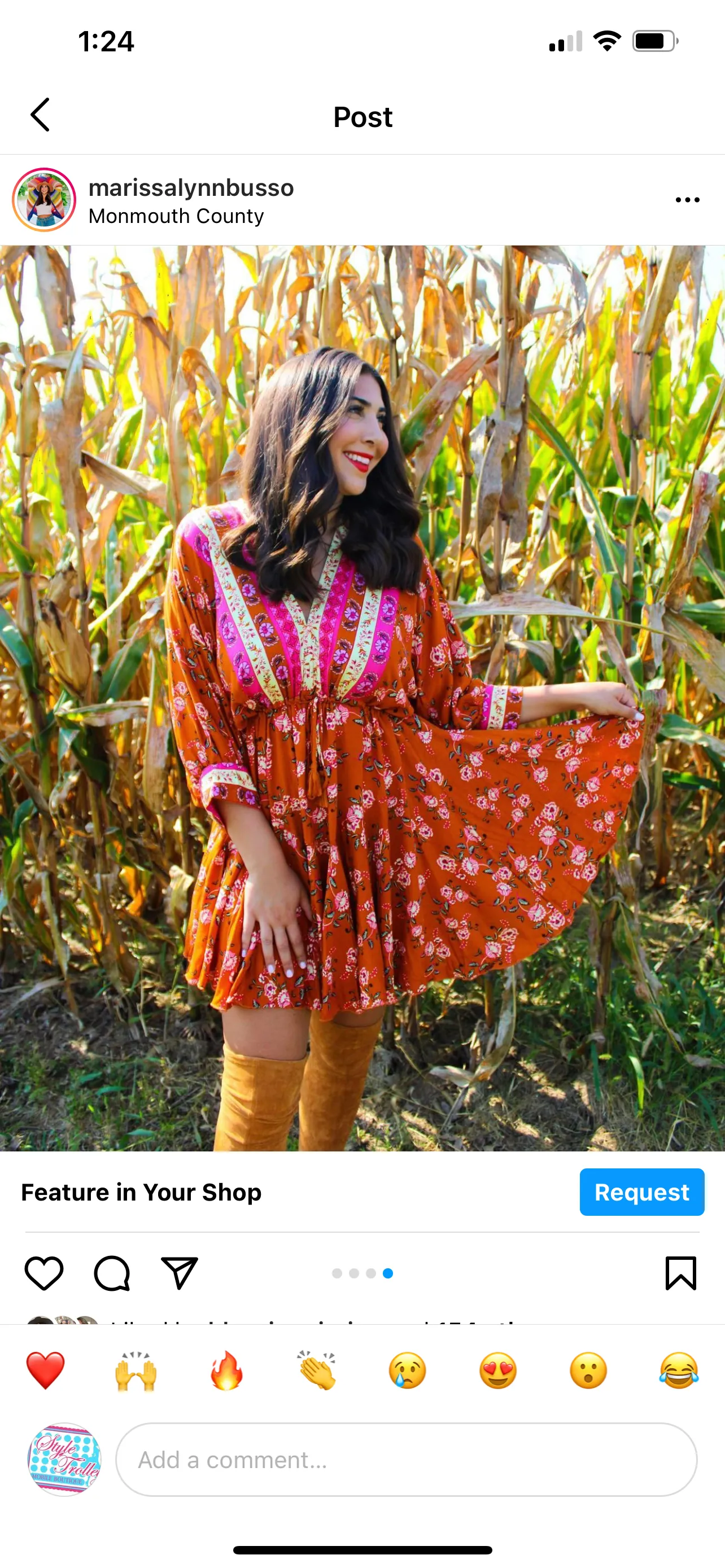 Ginger Autumn Swing Dress