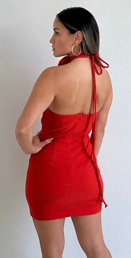 Love and Red Rose Bodycon Mini Dress