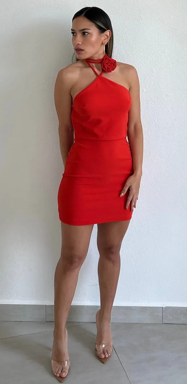 Love and Red Rose Bodycon Mini Dress