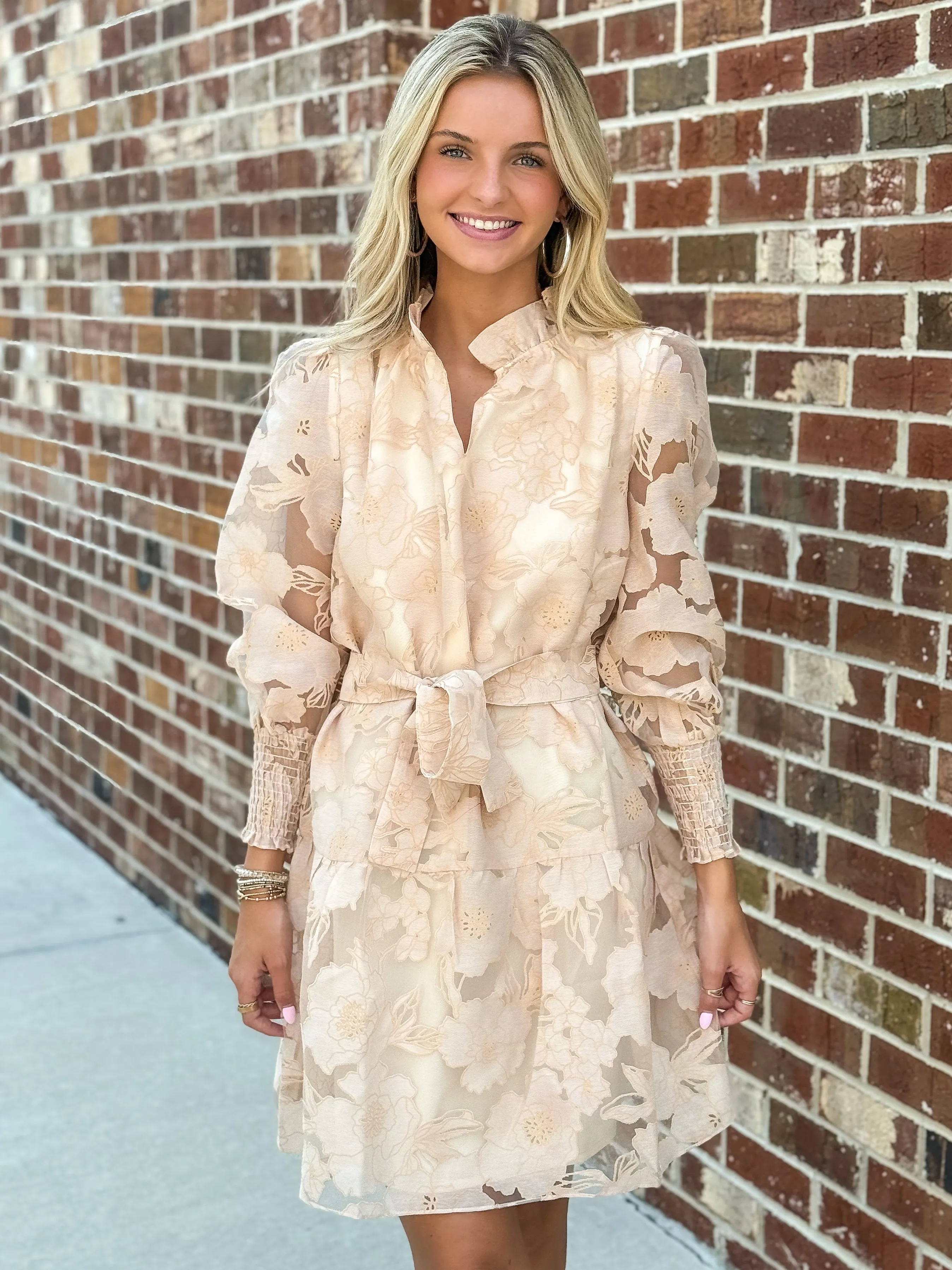 Mini Dress (Roses)