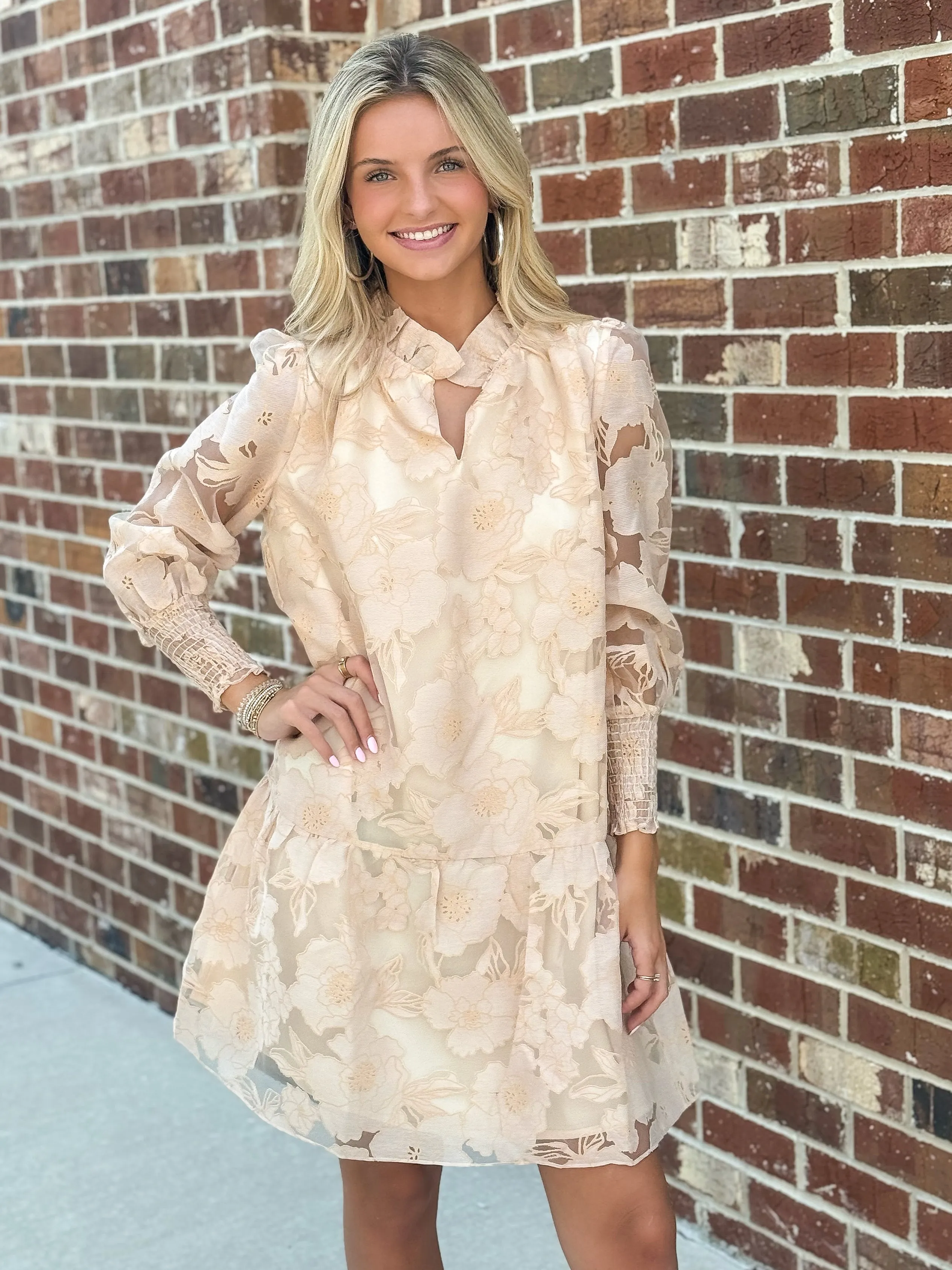 Mini Dress (Roses)