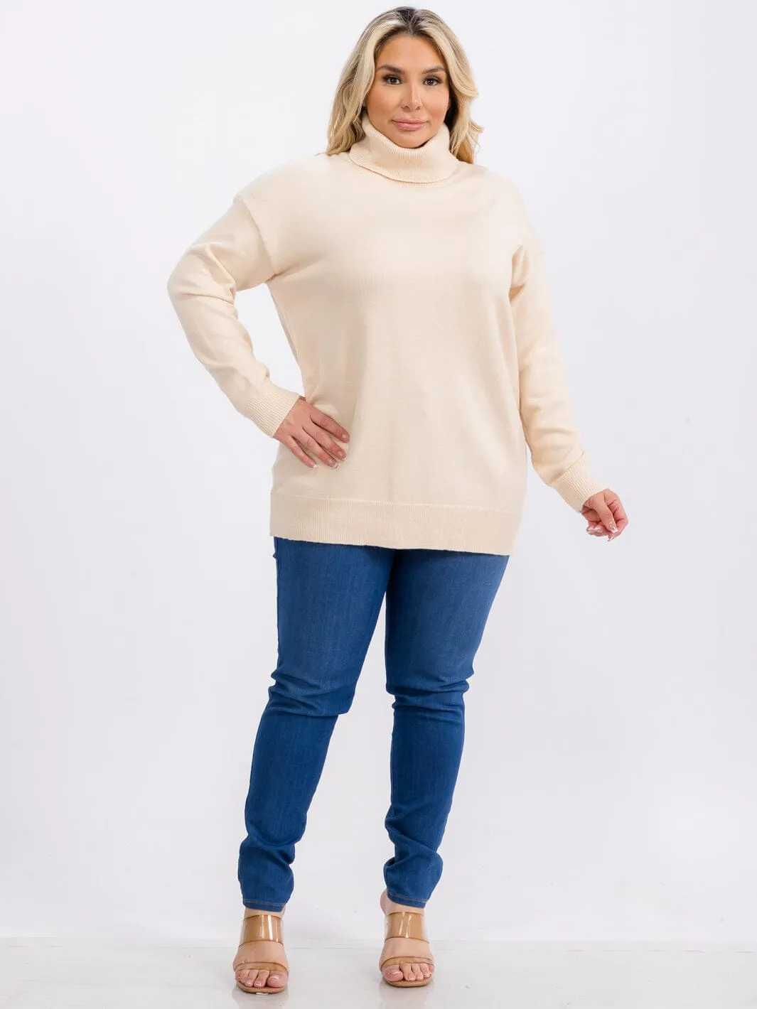 PLUS SIZE LONG SLEEVE TURTLE NECK PULLOVER SWEATER