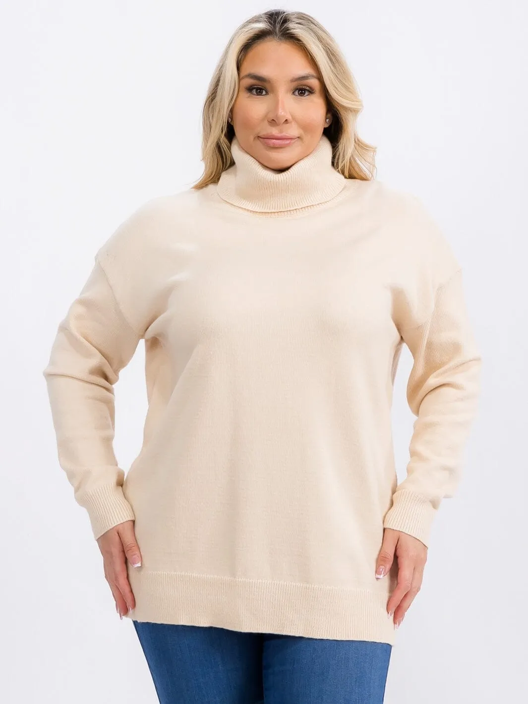 PLUS SIZE LONG SLEEVE TURTLE NECK PULLOVER SWEATER
