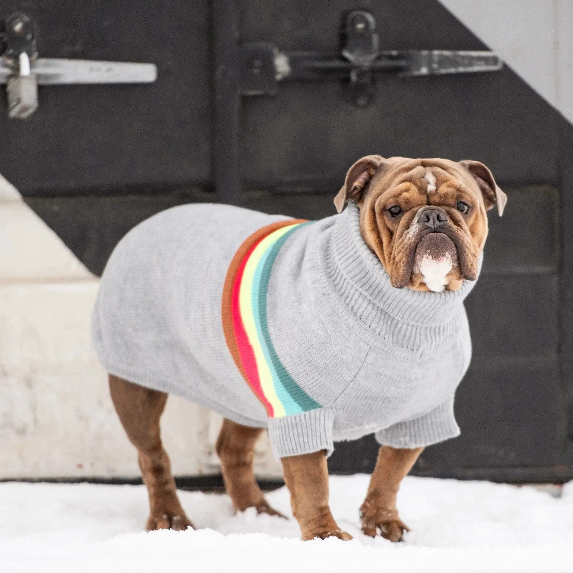 Retro Dog Sweater | Grey Mix