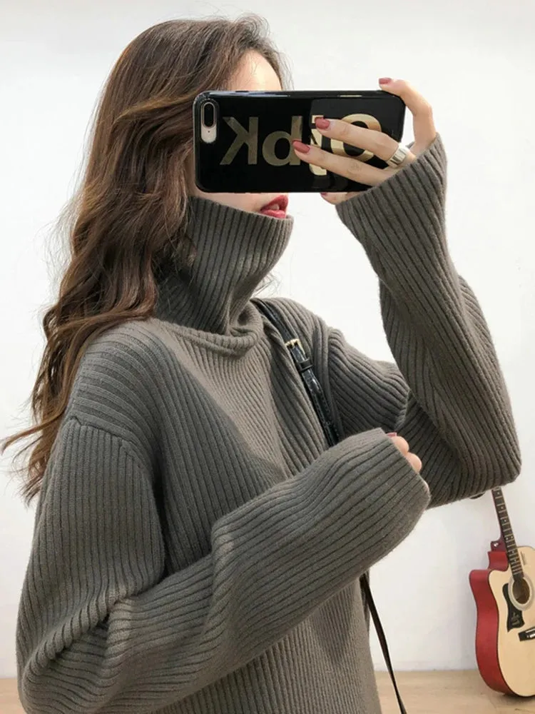 Turtleneck Thick Sweater