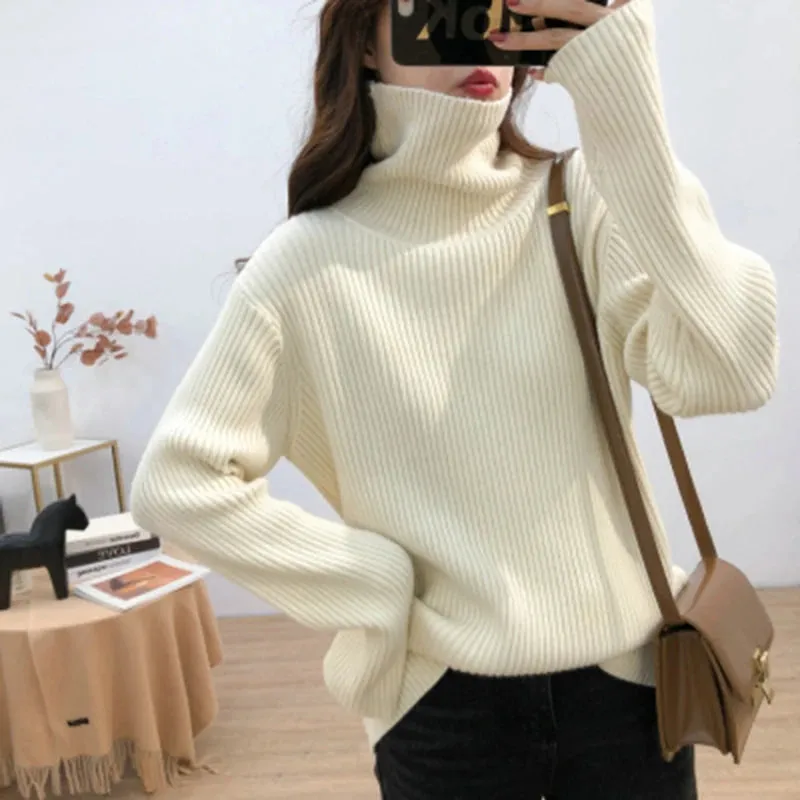 Turtleneck Thick Sweater
