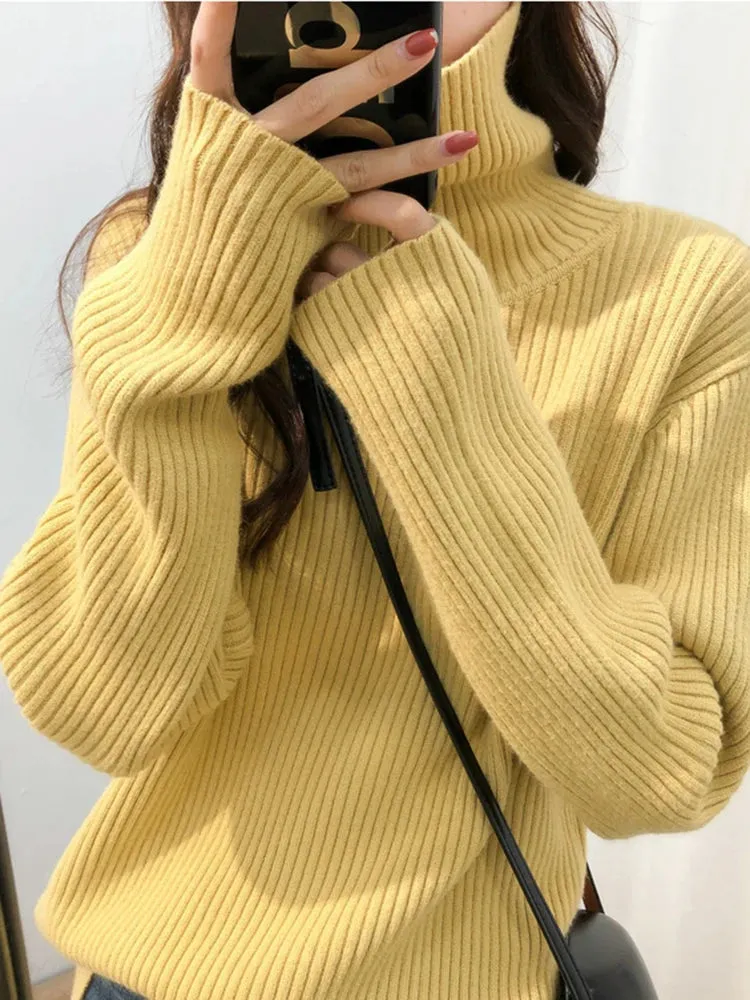 Turtleneck Thick Sweater