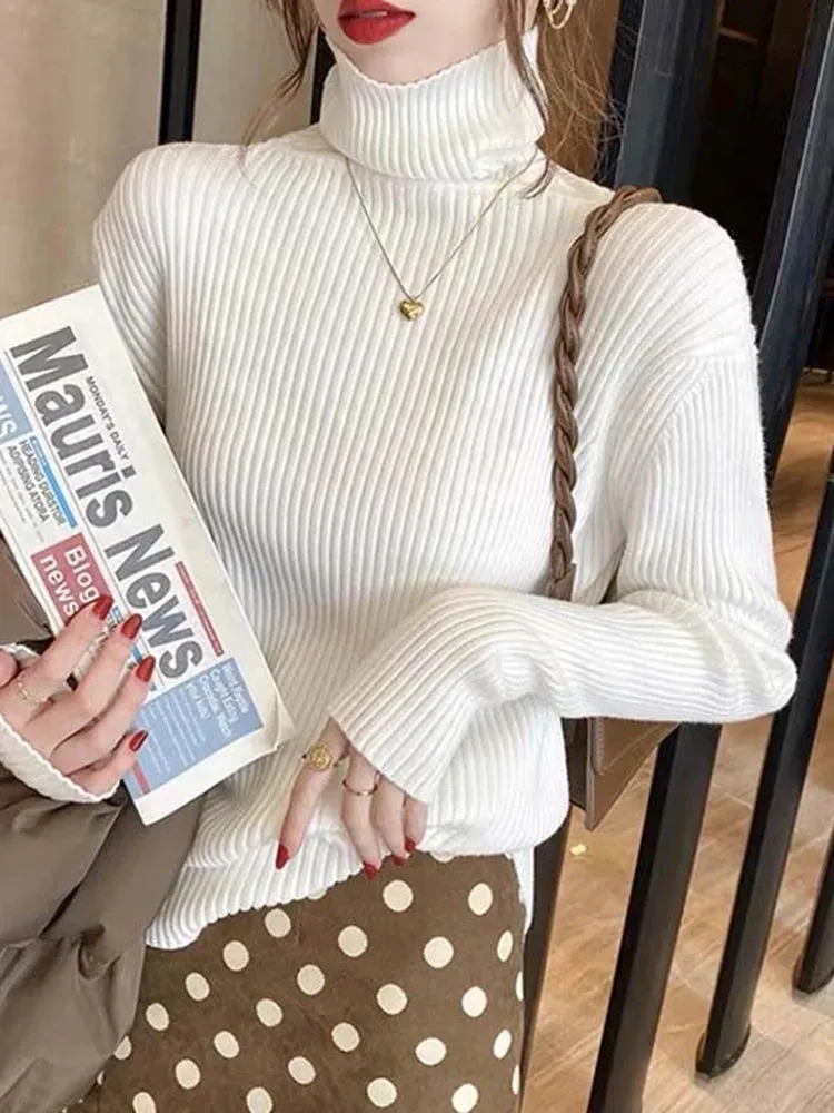 Turtleneck Thick Sweater