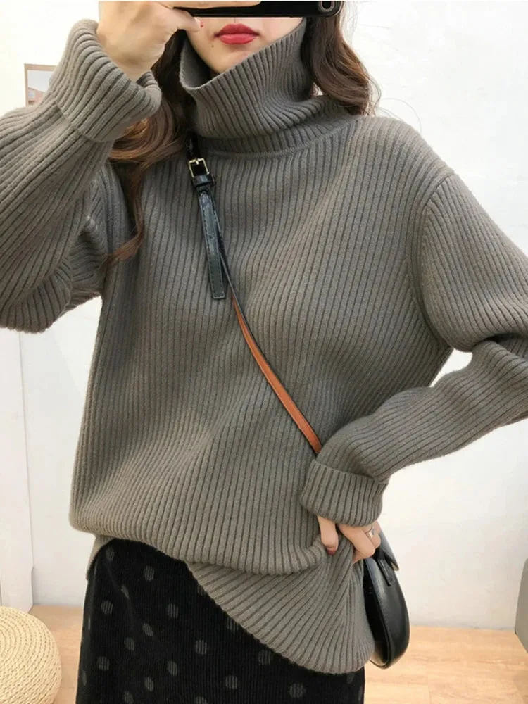 Turtleneck Thick Sweater