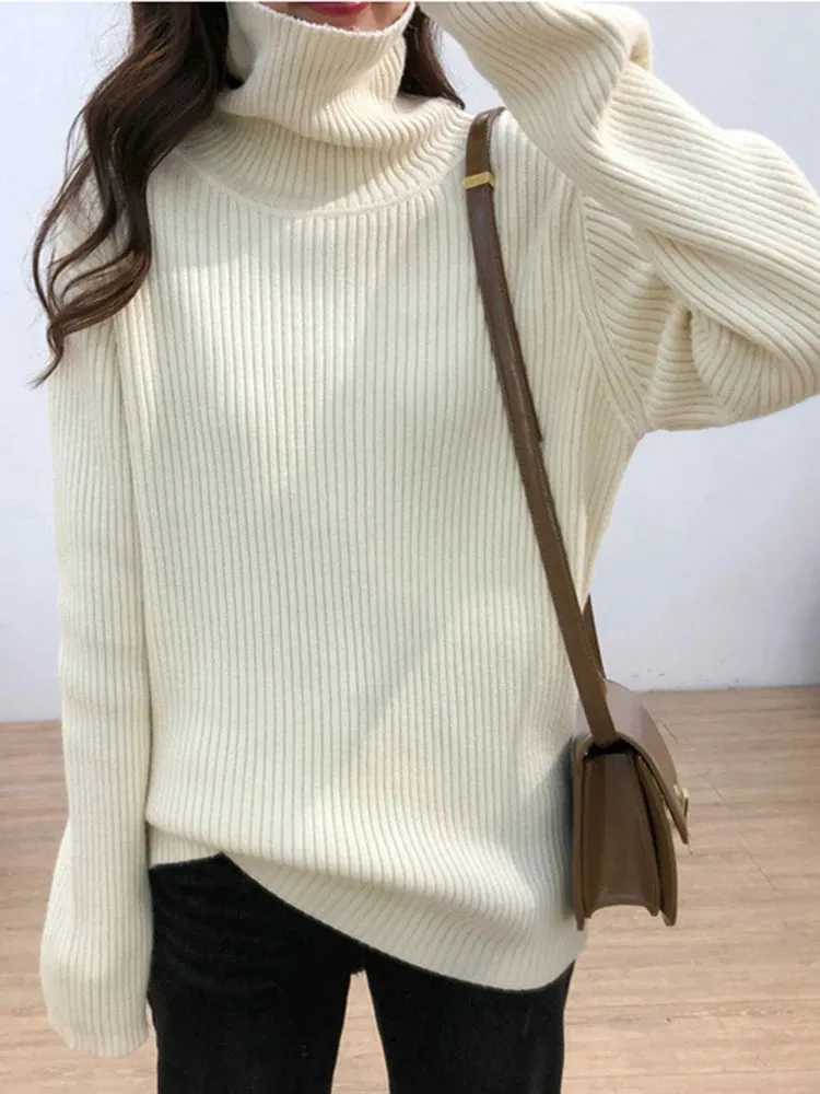 Turtleneck Thick Sweater