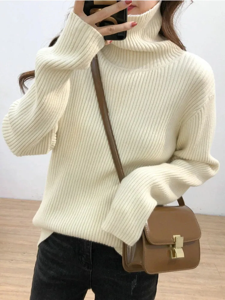 Turtleneck Thick Sweater