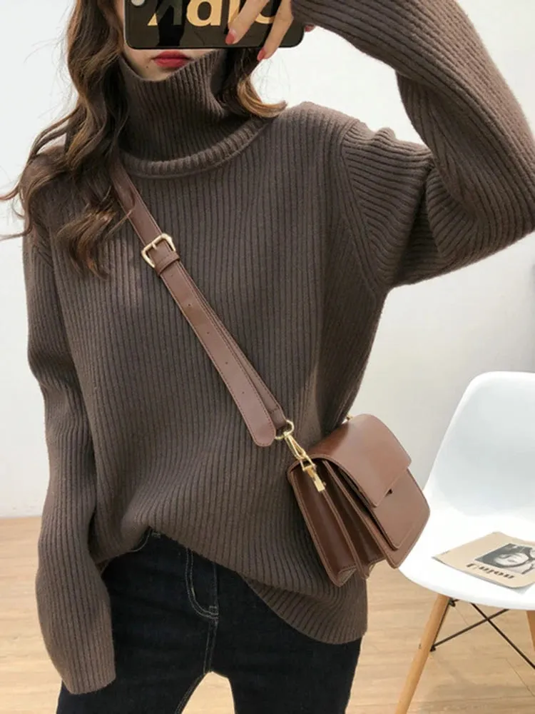 Turtleneck Thick Sweater