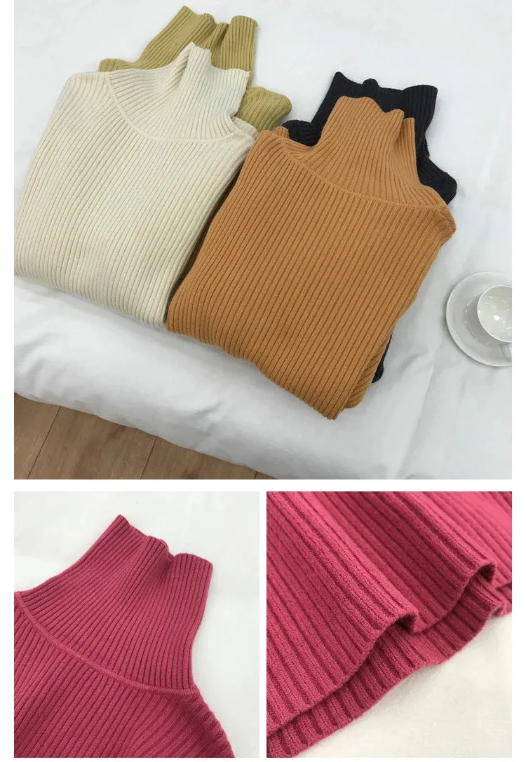Turtleneck Thick Sweater
