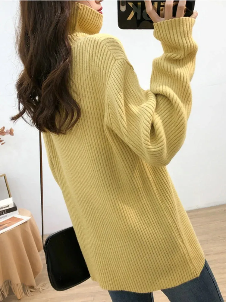 Turtleneck Thick Sweater