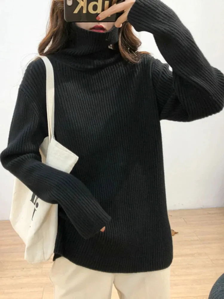 Turtleneck Thick Sweater