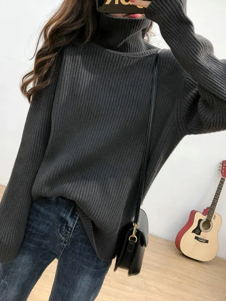 Turtleneck Thick Sweater