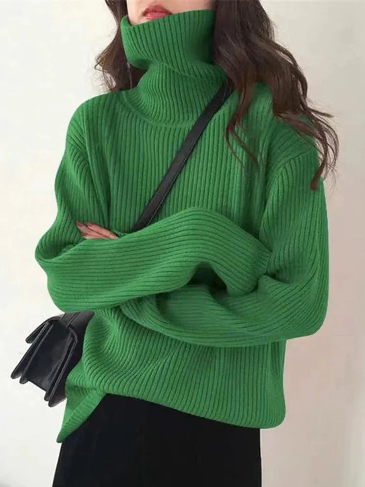 Turtleneck Thick Sweater