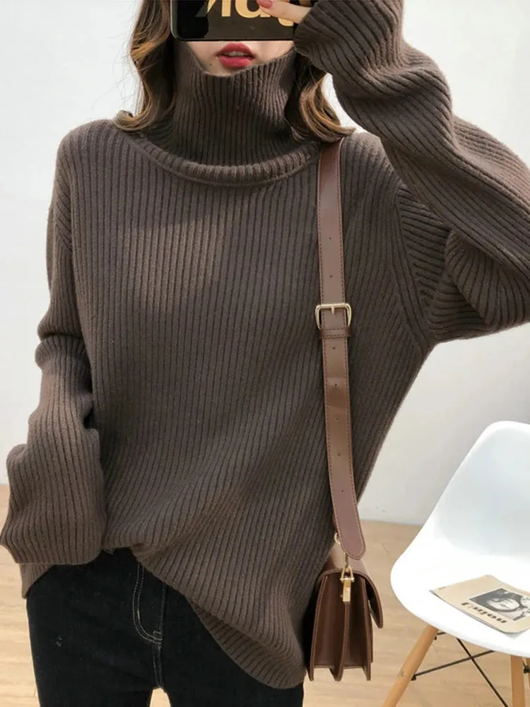 Turtleneck Thick Sweater