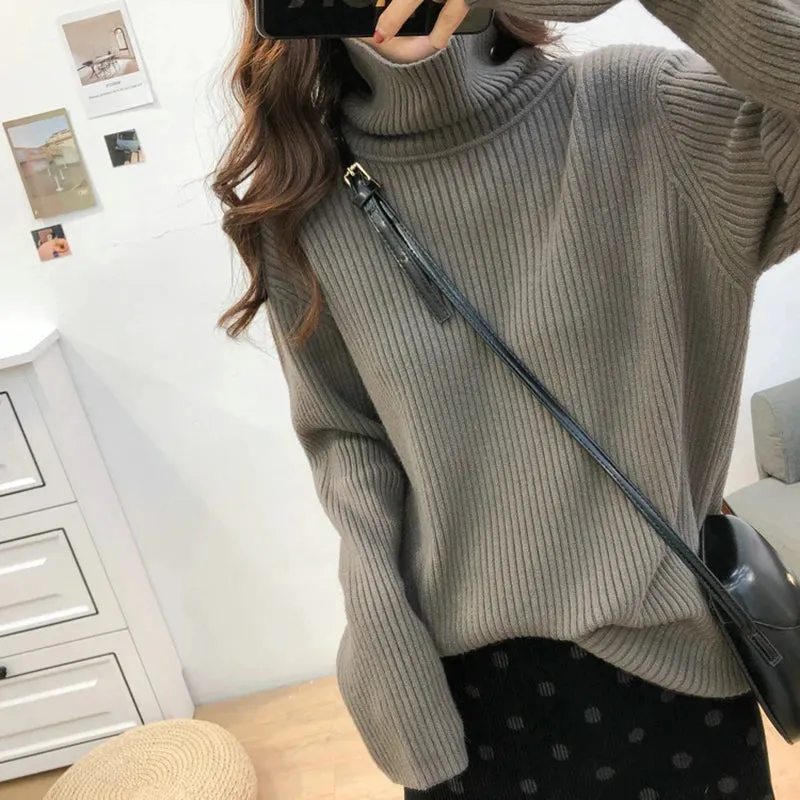 Turtleneck Thick Sweater