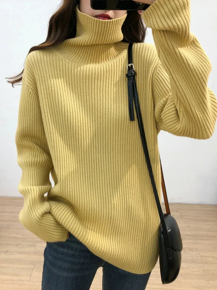 Turtleneck Thick Sweater