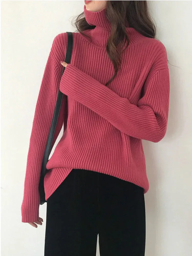 Turtleneck Thick Sweater