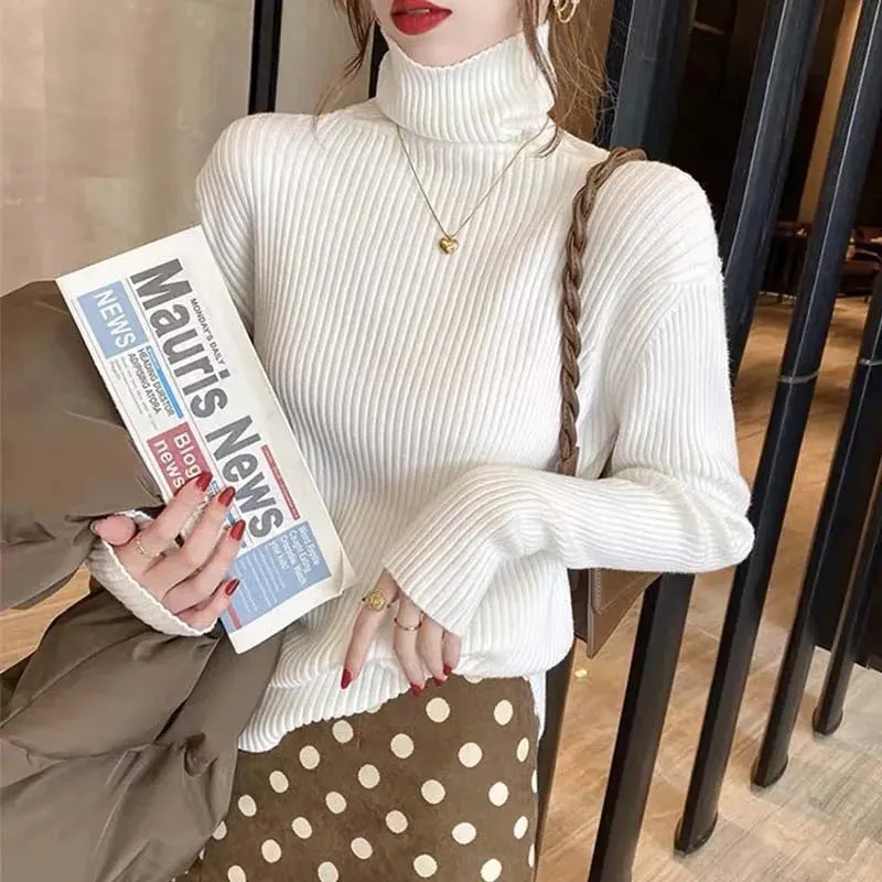 Turtleneck Thick Sweater