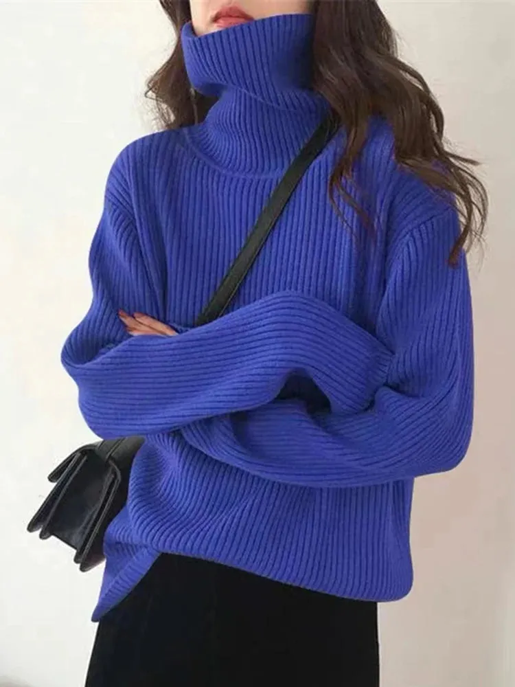 Turtleneck Thick Sweater