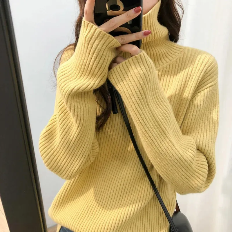 Turtleneck Thick Sweater