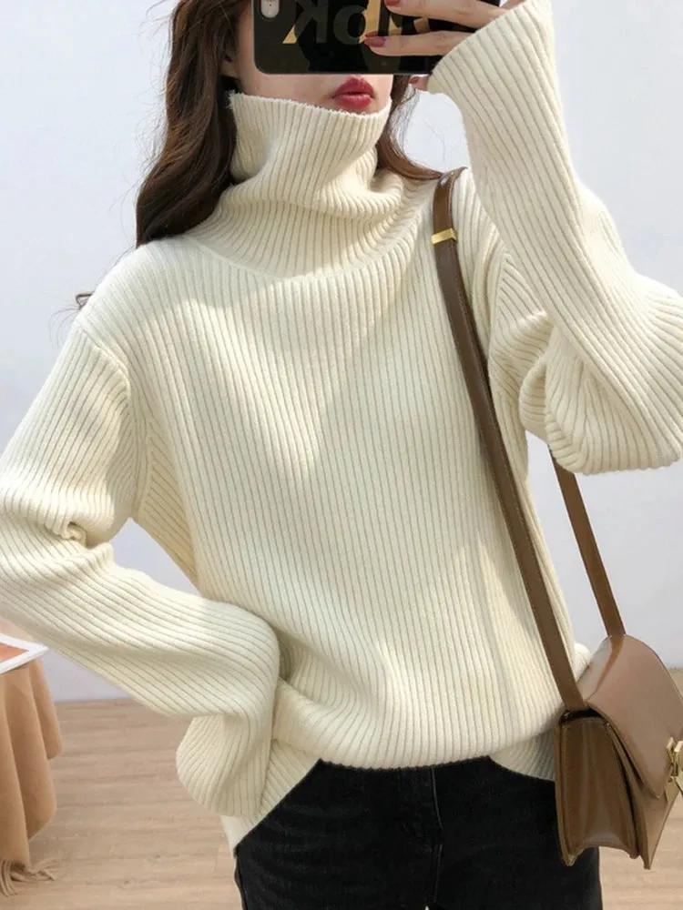 Turtleneck Thick Sweater