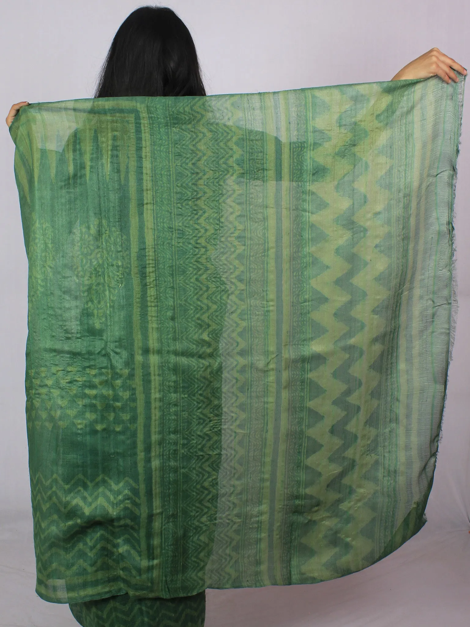 Tussar Handloom Silk Hand Block Printed Saree in Basil & Fern Green - S031701206