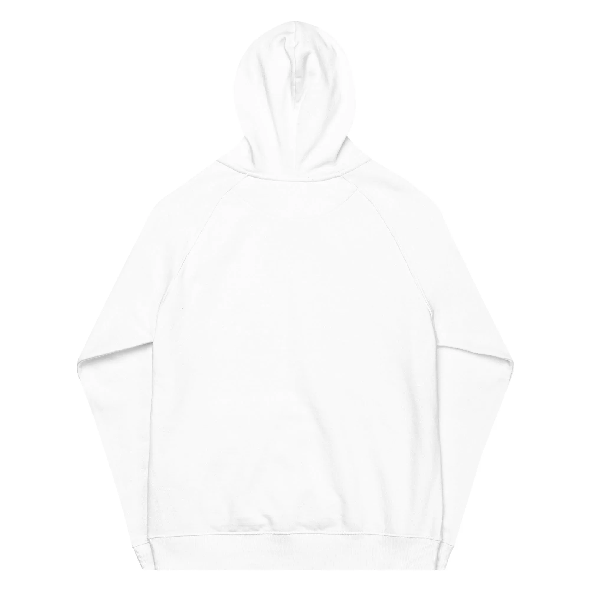Unisex Eco "Hope Sammich" Raglan Hoodie