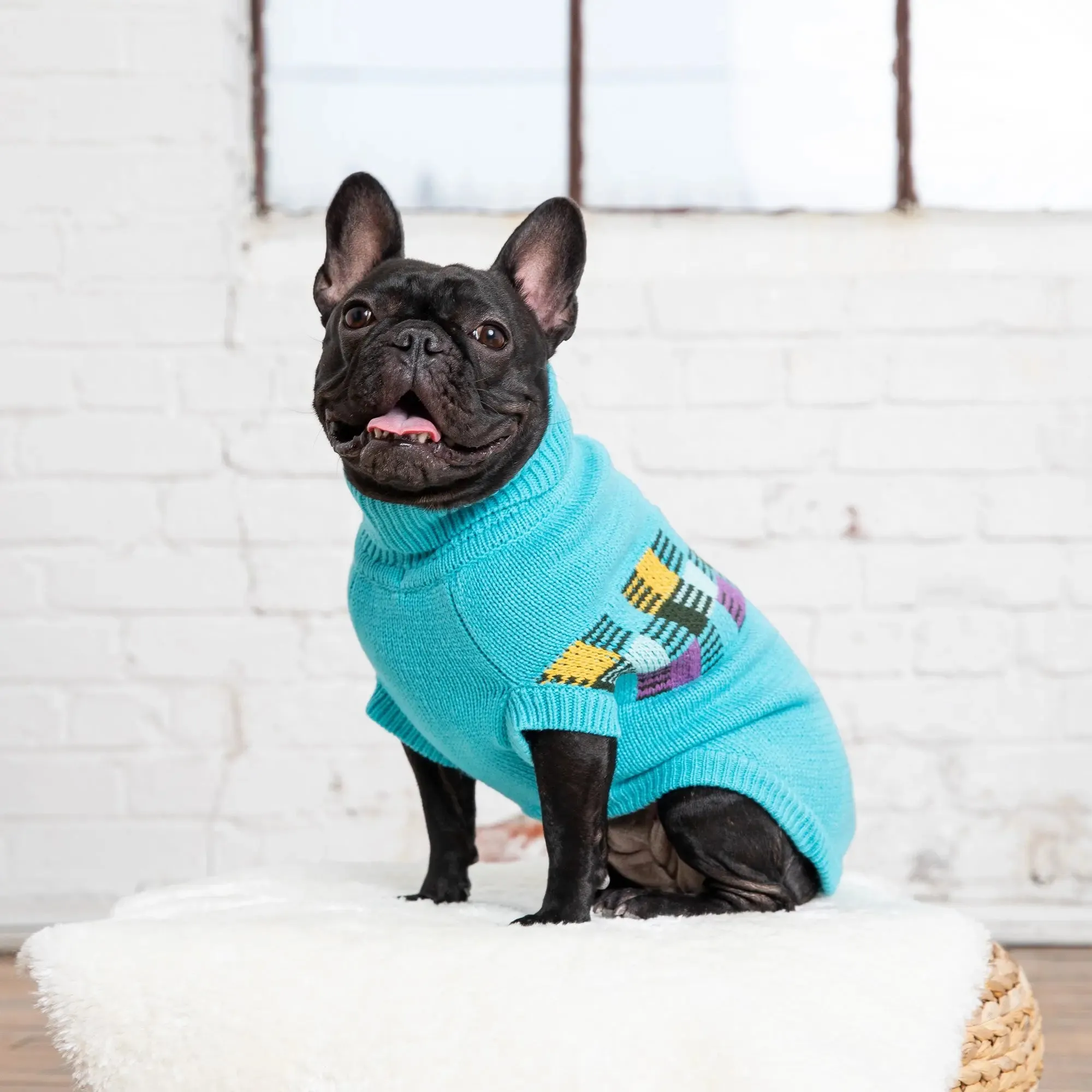 Winter Sailor Dog Sweater | Aqua