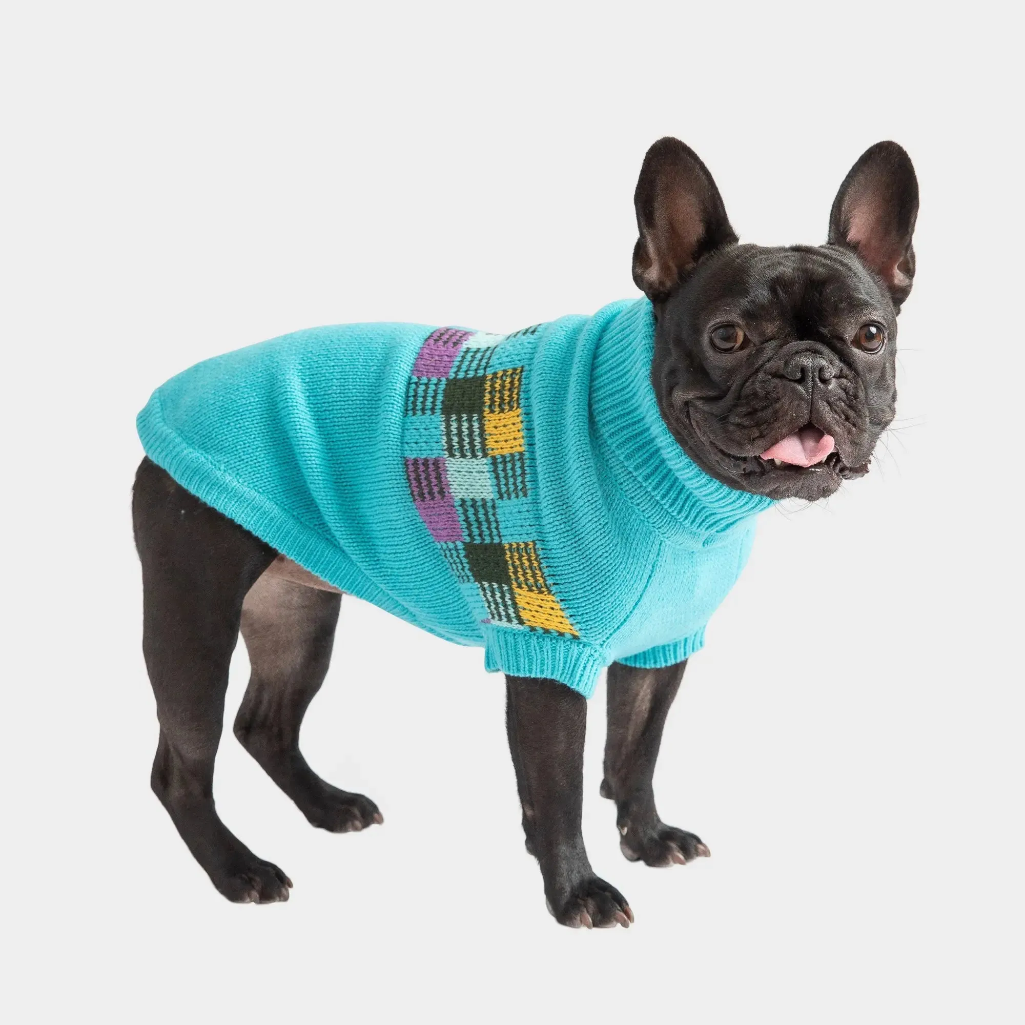 Winter Sailor Dog Sweater | Aqua